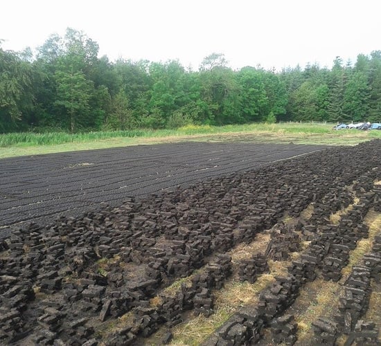 Proposed turf sale ban causing 'severe stress' - TD