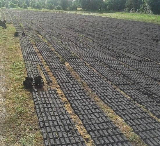 Concerns raised over Turf Cutting Cessation Scheme payment delays