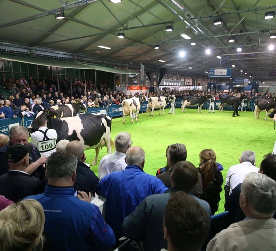 Winter Fair: Just two days to go until the North's flagship dairy show