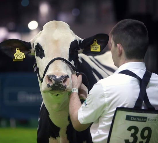 RUAS makes decision on 2020 Winter Fair plans