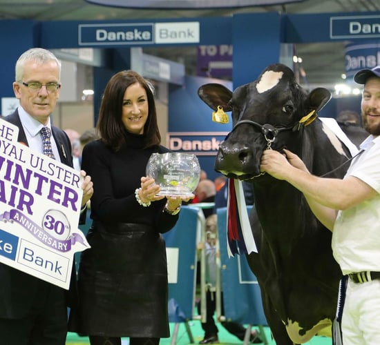 Winter Fair: Crowds flock to Ireland's largest dairy show - follow the action as it happens