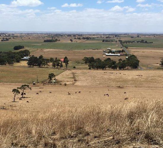 Dairy farming in a volanic valley and exporting to China: Heather reports from Australia