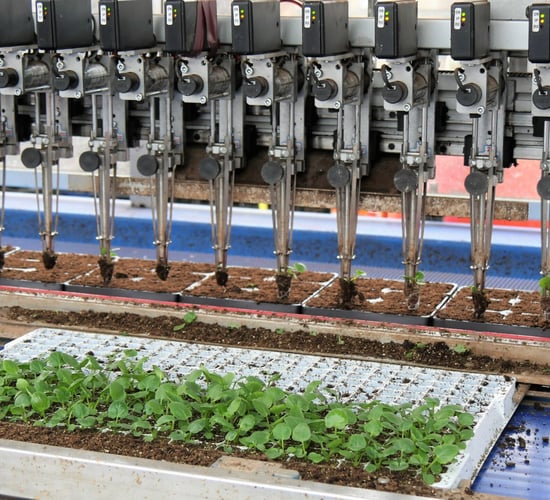 4 out of 5 UK growers say agri-robotics could help their businesses