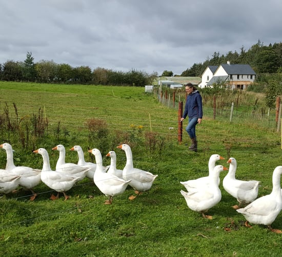 Slane estate 'rocks on' with farm diversification projects