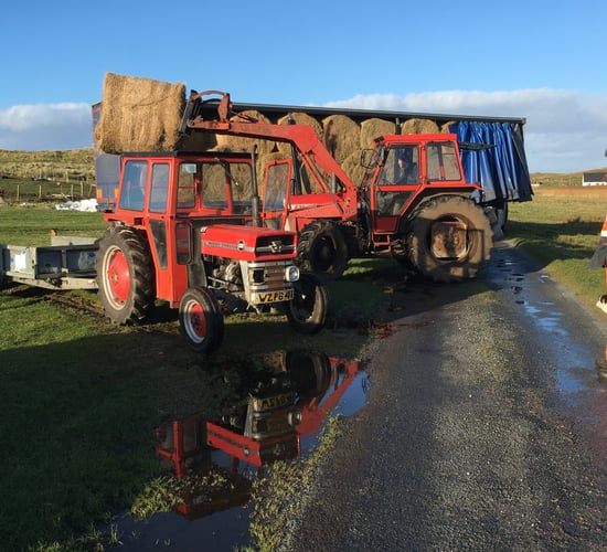 Details of fodder transport subsidy not yet revealed