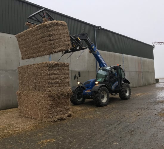 Forage focus: 'Straw Chip' a thriving business on a tillage farm