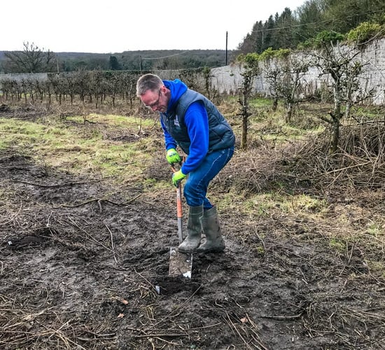 Tillage focus: A 'hopping' tillage farm in a wet January
