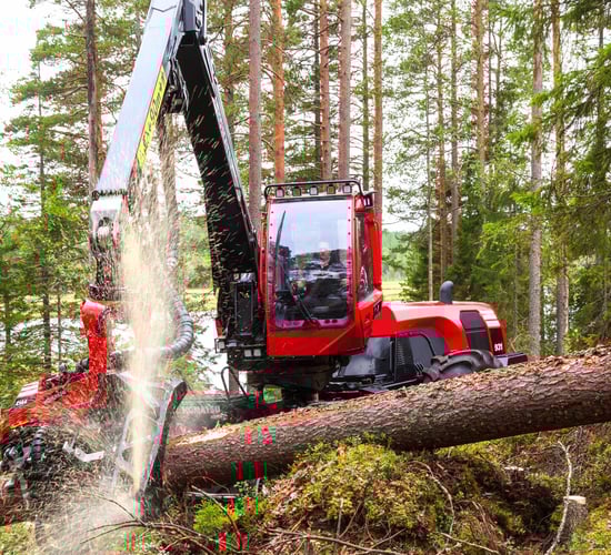 FAC: Number of forestry appeals in 2020 nearly 3 times that for both 2017 and 2018