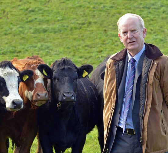 AFBI to present profit-based research findings at major dairy open day