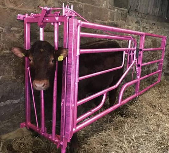 Fancy winning a pink calving gate and supporting a charitable cause?