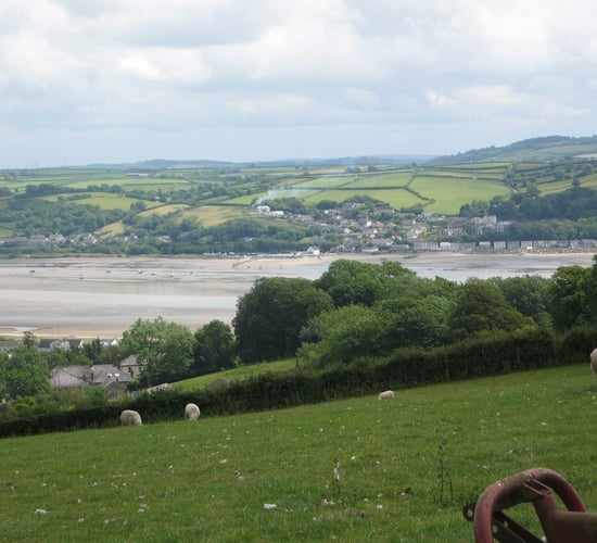 Welsh farmers must 'hold political feet to fire' on Brexit