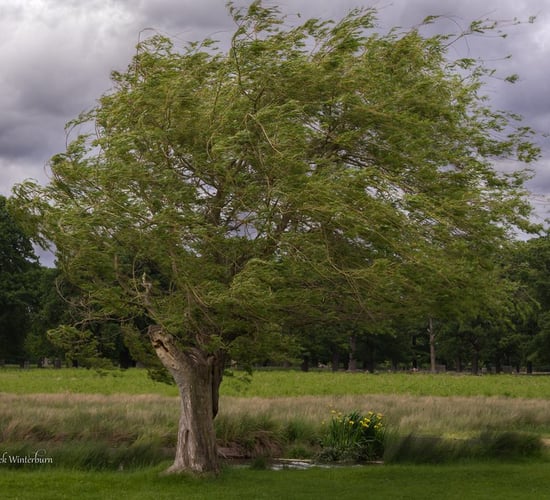 Met Éireann: Wind warning issued for several counties
