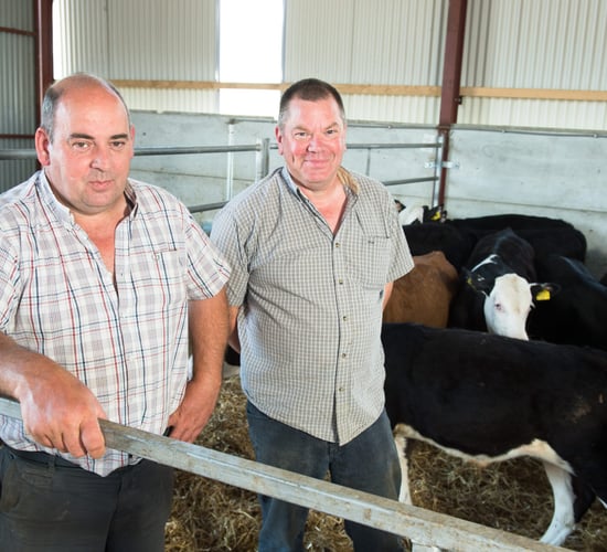 Countdown on to the NI Beef Expo - NI's biggest technical beef event