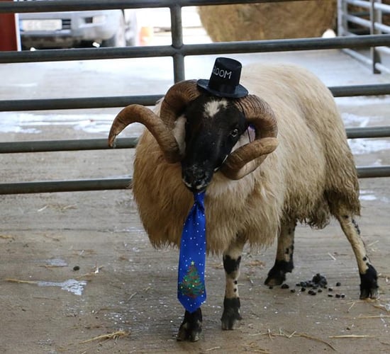 Ladies, forget the nightclubs - it's all about the marts!