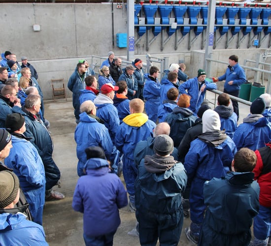 One in three Northern Ireland dairymen turn out to Dairy Open Days