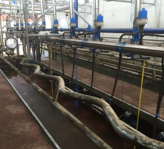 Contaminated milk powder isolated at Tipperary Co-op
