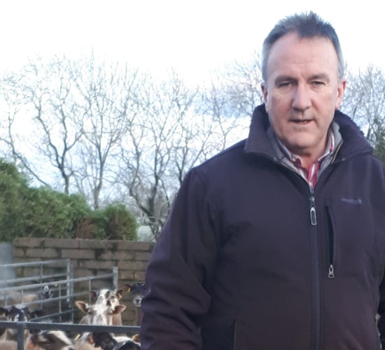 Kelly wins British Wool board election