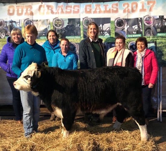 Around 50 lots to go under the hammer in charity auction