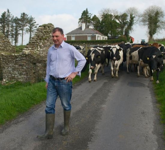 Comer: 'It would've been good for Fianna Fail to bring in an outsider'