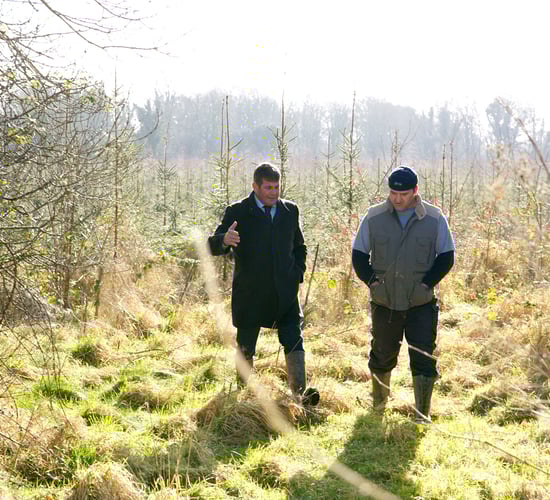 Doyle highlights importance of forestry in Galway