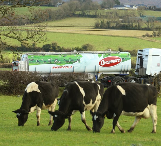 Opinion: How do we reduce the risk for dairy farmers?