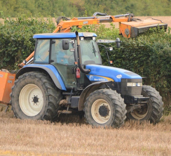 3 fined for out-of-season hedge-cutting in Westmeath