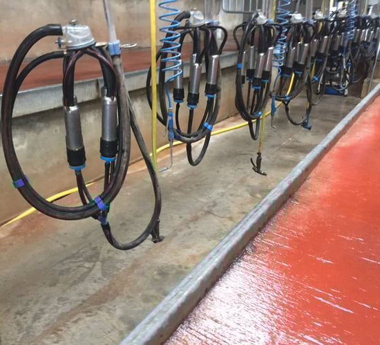 Boxing clever and saving one hour per day with 'lean farm' principles
