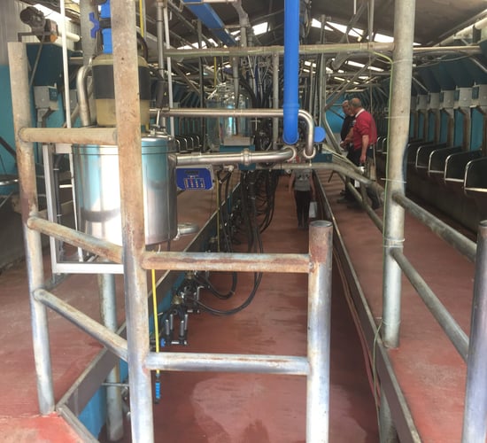 What to do if your bulk tank has been contaminated with antibiotic residues