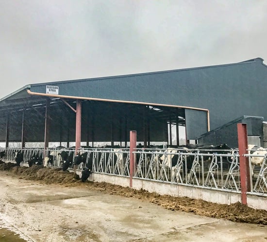 Buildings focus: 123 cubicles; a new parlour and drafting system - for a 'one man show'