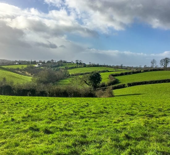 Dairy focus: A time of change on Monaghan's drumlin hills