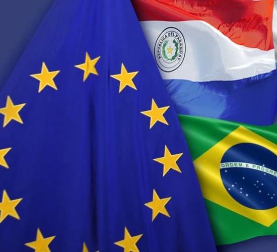 43 European farm organisations sign declaration against Mercosur