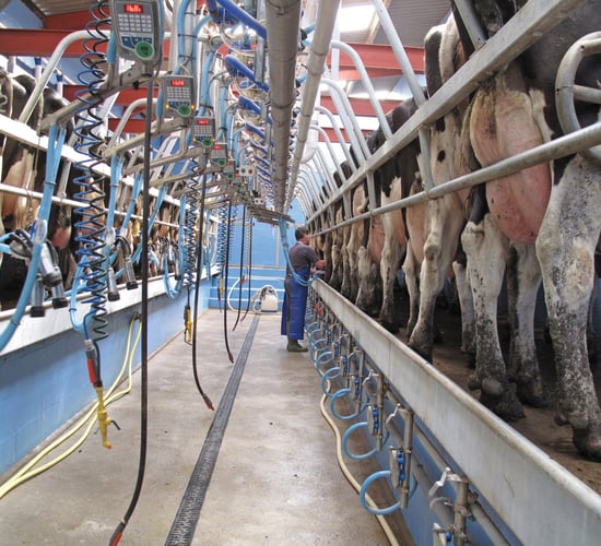 Milk Price Tracker: Negative trend continues for May supplies