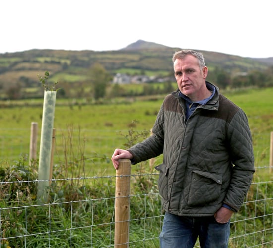 How trees are solving farm problems in the Glens of Antrim