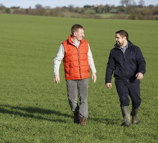 Cork farmer 'lands' university IPM award