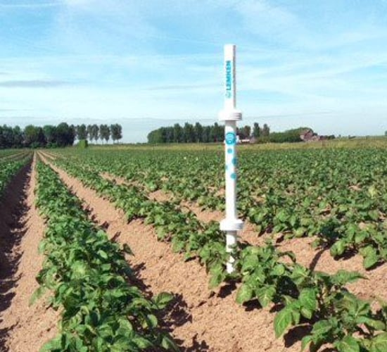 If fields could talk...they'd tell you the weather