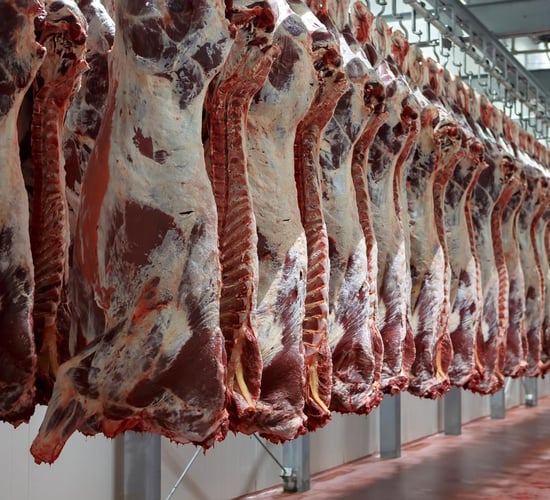 'Significant' rise in UK beef imports from Brazil, Australia and NZ