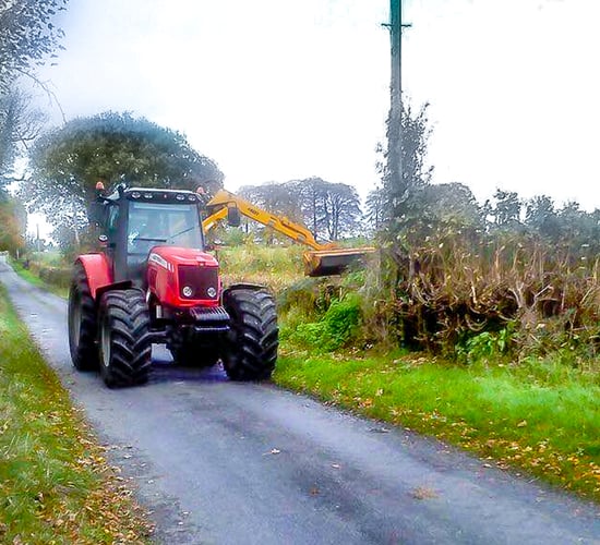 'Zero tolerance' approach for hedge-cutting in closed season