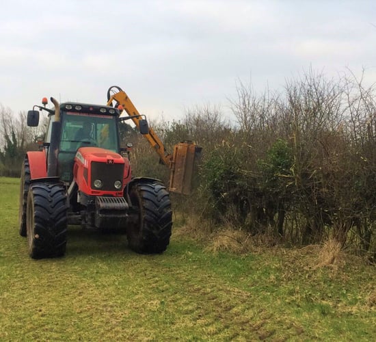 Just days left before hedge-cutting ban comes into effect