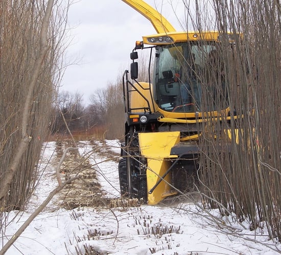 What's the contractor 'price' for harvesting willow?