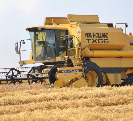 Malting barley could 'outperform dairy' but how do farmers get a share?