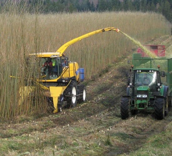 'Tillage farmers will not be scapegoated again with another hare-brained scheme'