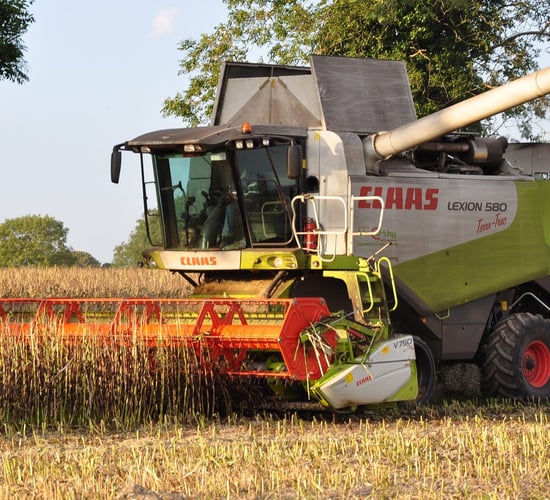 MEPs call for 'robust strategy' to boost protein crops on EU farms