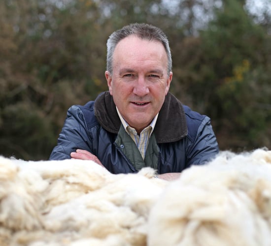 Wool prices set to remain strong following 20% increase