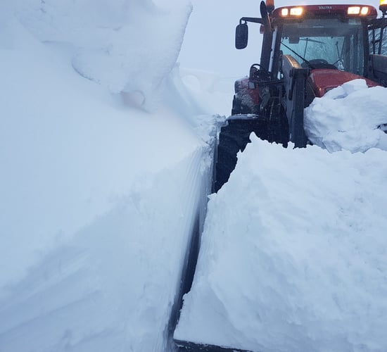 Pics: An icy reminder of the arctic week gone by