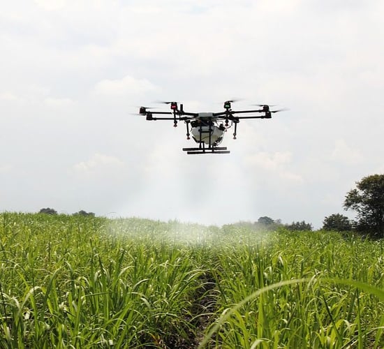 Changing the face of Japanese farming...with drones