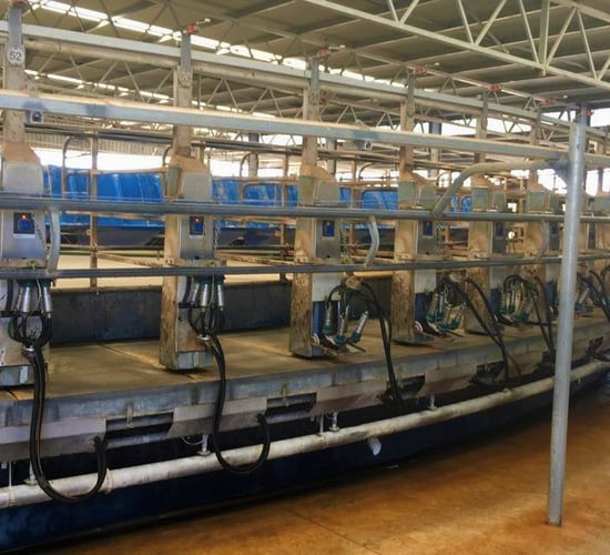 Oz dairy farmers welcome move to address retail pricing
