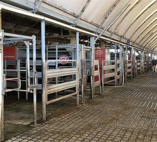 Pivots and milking with 8 robots in southern Australia