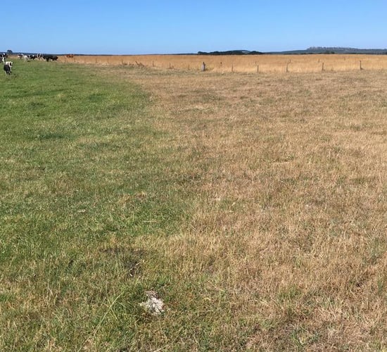Australian farmers fear 'dud' trade deal with EU