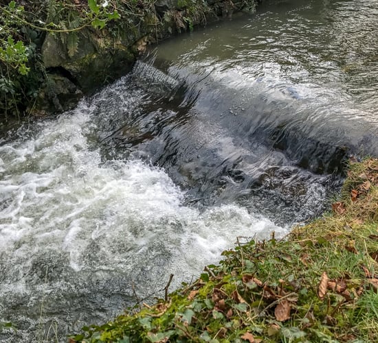 Water to be sampled on a weekly basis for MCPA