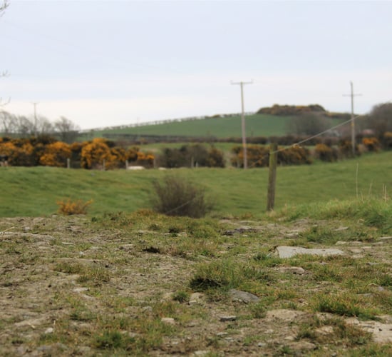 Environmental Farming Scheme open for applications